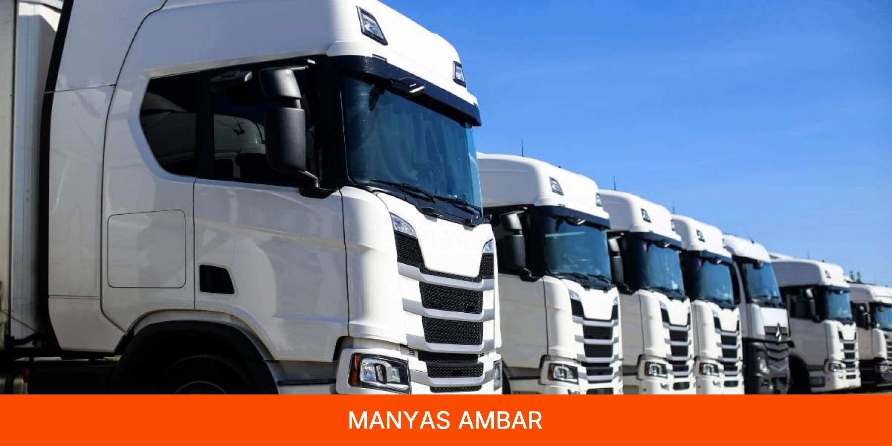 Manyas Ambar