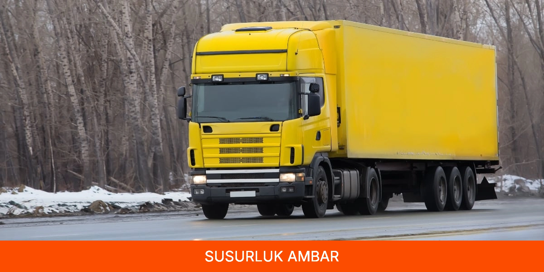 Susurluk Ambar