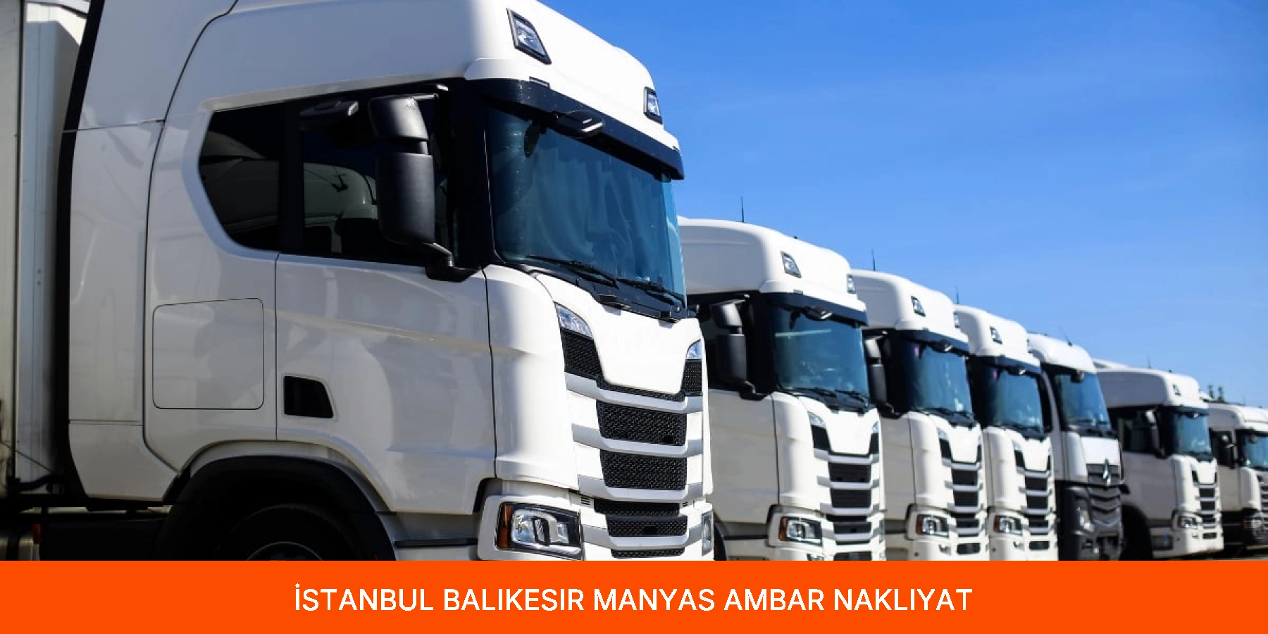 Manyas Ambar